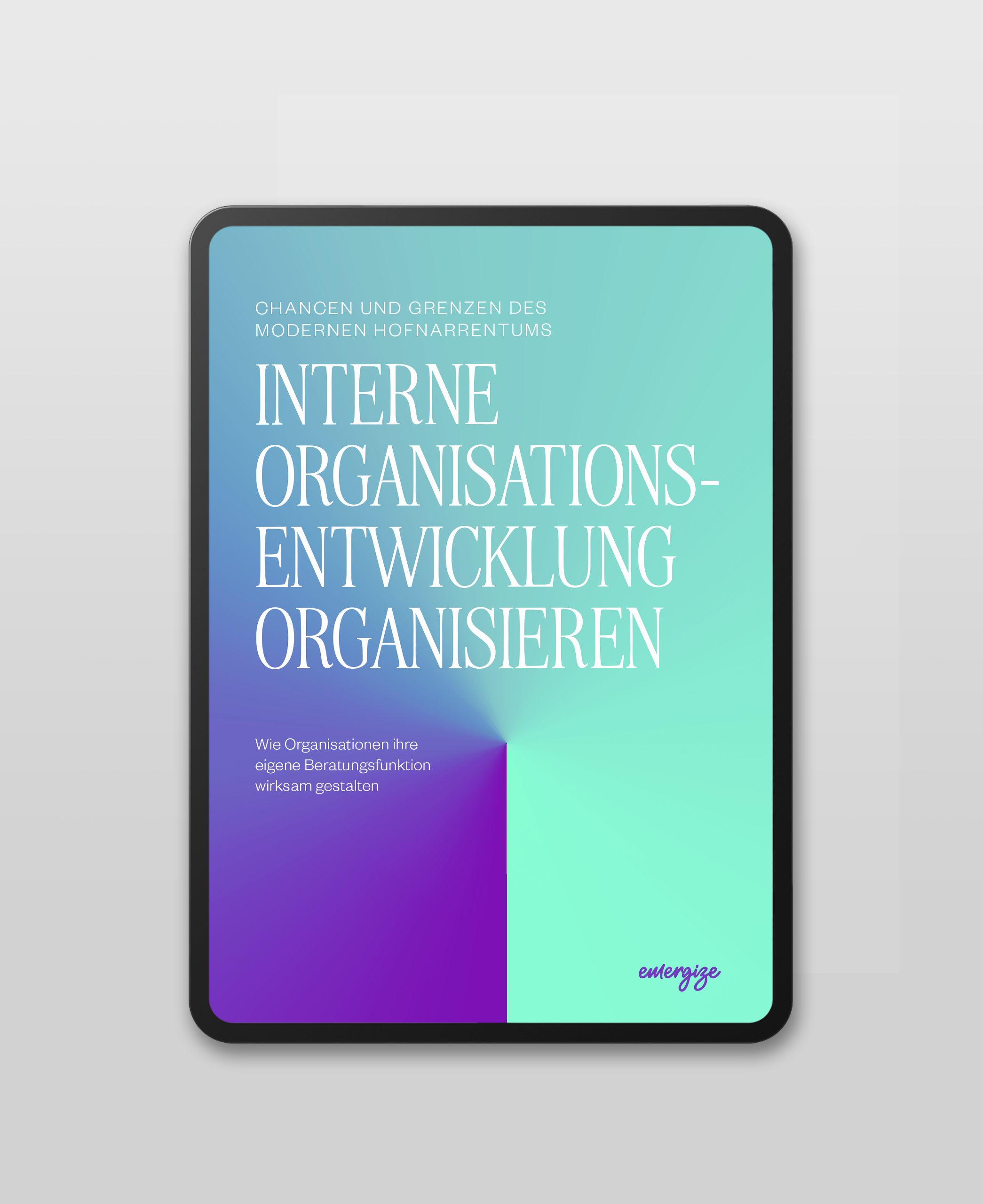 emergize_whitepaper_interneorganisations