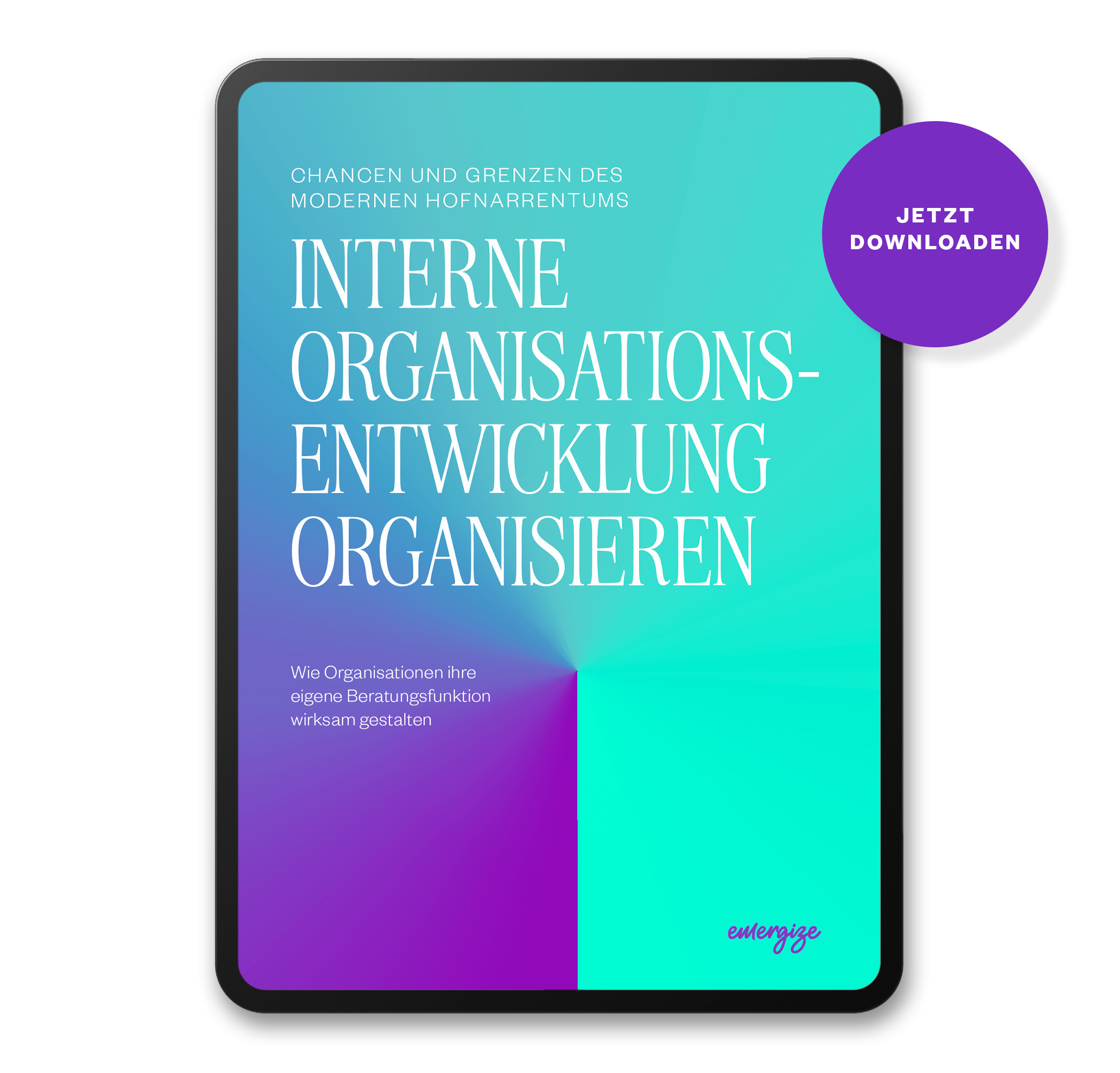Whitepaper Interne Organisationsentwicklung organisieren
